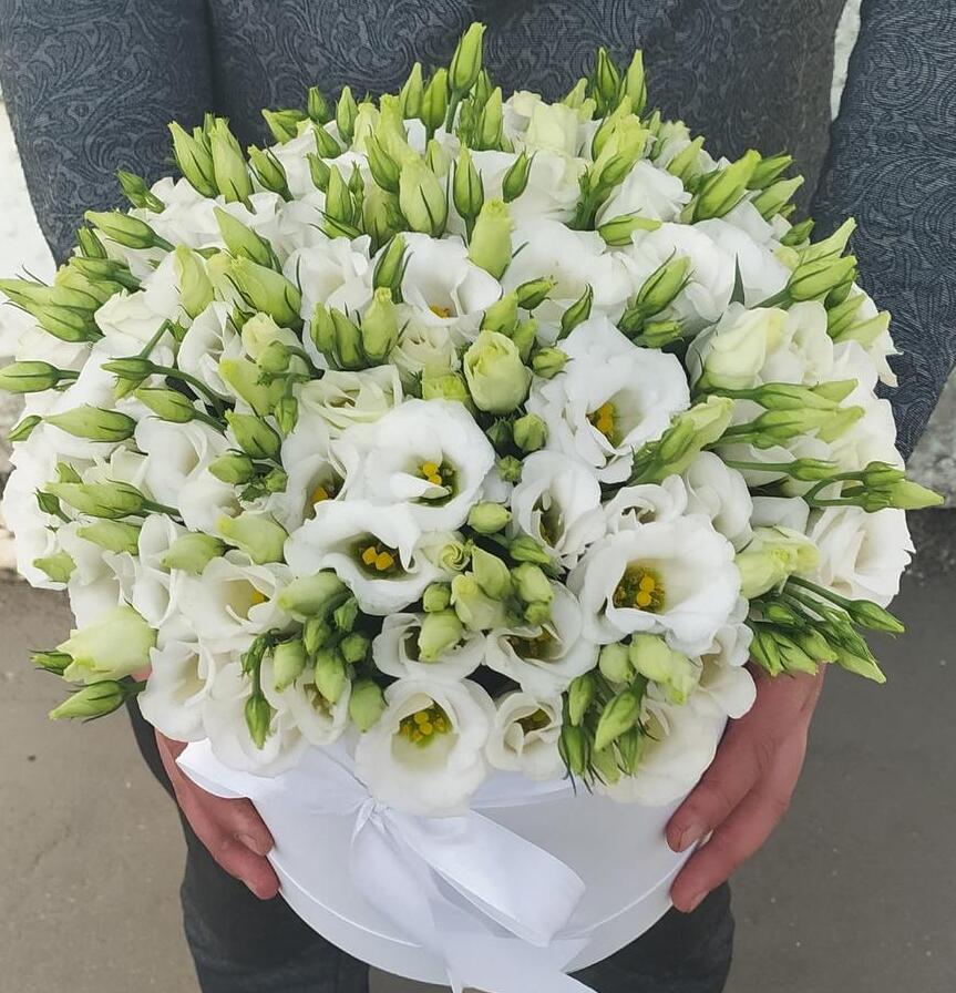  Kemer Blumen 
