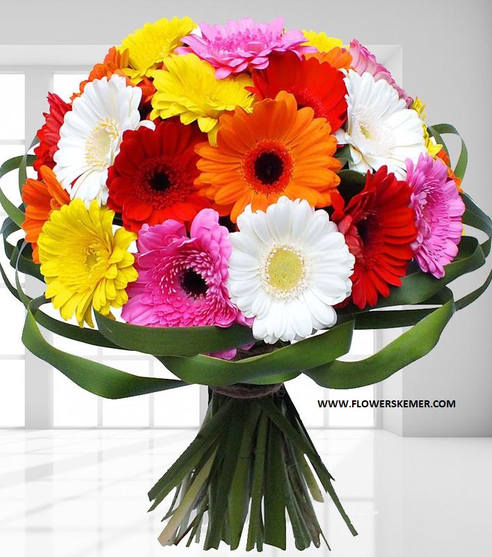  Kemer Blumen 