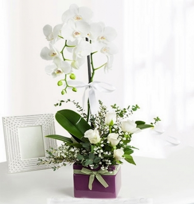  Kemer Çiçek Gönder Çift dal beyaz orkide ve güller